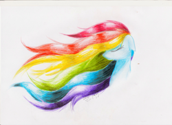 Size: 1024x745 | Tagged: safe, artist:thatonegib, rainbow dash, pegasus, pony, bust, portrait, solo, traditional art