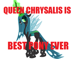 Size: 680x537 | Tagged: safe, queen chrysalis, changeling, changeling queen, best pony, image macro, meme, solo