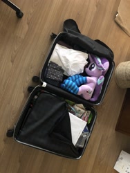 Size: 1536x2048 | Tagged: safe, artist:nekokevin, starlight glimmer, pony, unicorn, series:nekokevin's glimmy, clothes, female, irl, luggage, mare, photo, plushie, smiling, socks, solo, striped socks, suitcase