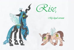 Size: 3544x2388 | Tagged: safe, artist:gerbsterpers, queen chrysalis, oc, oc:poisoned soul, changeling, changeling queen, changelingified, chrysalislover, kneeling