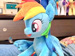 Size: 1024x768 | Tagged: safe, artist:nekokevin, rainbow dash, pegasus, pony, cute, dashabetes, female, holding, irl, mare, open mouth, photo, plushie, side view, sitting, smiling, solo, spoon, wing hands, wing hold