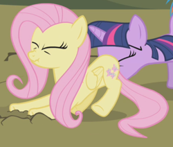 Size: 488x414 | Tagged: safe, derpibooru import, screencap, fluttershy, twilight sparkle, pegasus, pony, dragonshy, butt touch, duo, faceful of ass, out of context, pushing, rump push, scrunchy face