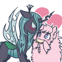 Size: 1280x1280 | Tagged: safe, artist:hawthornss, queen chrysalis, oc, oc:fluffle puff, changeling, changeling queen, blushing, canon x oc, chrysipuff, female, heart, lesbian, looking at each other, shipping, taco