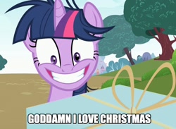 Size: 1036x760 | Tagged: safe, derpibooru import, screencap, twilight sparkle, lesson zero, caption, epic smile, image macro, present, vulgar