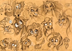 Size: 900x636 | Tagged: safe, artist:arnne, adagio dazzle, aria blaze, big macintosh, bon bon, flash sentry, fluttershy, pinkie pie, queen chrysalis, rainbow dash, rarity, sonata dusk, starlight glimmer, sunset shimmer, sweetie drops, twilight sparkle, twilight sparkle (alicorn), alicorn, cat, changeling, changeling queen, pony, siren, equestria girls, the cutie map, the dazzlings, traditional art, wat