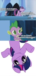 Size: 500x1050 | Tagged: safe, derpibooru import, spike, twilight sparkle, dragon, comic, image macro, looking at you, shrug, shrugpony, stairs