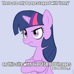 Size: 800x800 | Tagged: safe, derpibooru import, twilight sparkle, derpibooru, disapproval, exploitable meme, meta, roflbot, tags, text, unamused