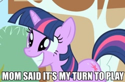 Size: 750x491 | Tagged: safe, derpibooru import, twilight sparkle, caption, dmc, image macro, smiling