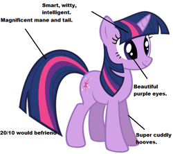 Size: 563x500 | Tagged: safe, derpibooru import, twilight sparkle, 10/10, analysis, best pony, truth