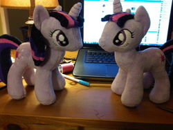 Size: 1152x864 | Tagged: safe, artist:caashley, derpibooru import, twilight sparkle, irl, photo, plushie, solo