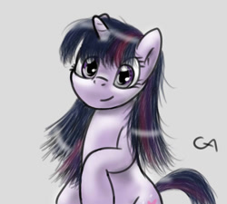 Size: 900x810 | Tagged: safe, artist:gamesadict, derpibooru import, twilight sparkle, pony, unicorn, female, horn, mare, purple coat, purple mane, solo