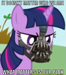 Size: 531x603 | Tagged: safe, derpibooru import, twilight sparkle, bane, batman, image macro