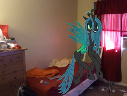 Size: 640x480 | Tagged: safe, artist:goodfornothing117, queen chrysalis, changeling, changeling queen, bed, female, green eyes, horn, solo