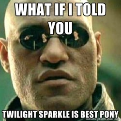 Size: 400x400 | Tagged: safe, derpibooru import, twilight sparkle, human, all caps, best pony, exploitable meme, impact font, irl, meme, memegenerator, morpheus, photo, text, what if i told you