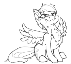 Size: 739x661 | Tagged: safe, artist:geomancing, derpibooru import, rainbow dash, pegasus, pony, behaving like a bird, black and white, chest fluff, grayscale, monochrome, puffy cheeks, simple background, sketch, solo, white background