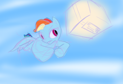 Size: 1280x877 | Tagged: safe, artist:khakihat, derpibooru import, rainbow dash, pegasus, pony, 30 minute art challenge, box, sketch, solo