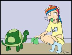 Size: 792x613 | Tagged: safe, artist:kprovido, derpibooru import, rainbow dash, tank, human, tortoise, clothes, eating, female, food, humanized, lettuce, shirt, socks