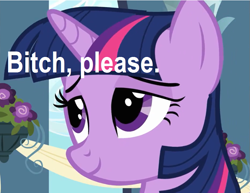 Size: 827x637 | Tagged: safe, derpibooru import, screencap, twilight sparkle, bitch please, text, vulgar