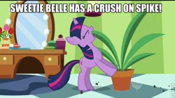 Size: 600x338 | Tagged: safe, derpibooru import, edit, edited screencap, screencap, twilight sparkle, green isn't your color, exploitable meme, female, hub logo, implied shipping, implied spikebelle, implied straight, male, potted plant, roflbot, secret pot meme, solo