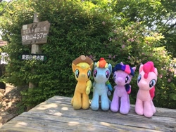 Size: 3264x2448 | Tagged: safe, artist:setorin5, derpibooru import, applejack, pinkie pie, rainbow dash, twilight sparkle, twilight sparkle (alicorn), alicorn, pony, 4de, irl, japan, photo, plushie, ponies around the world, travelling