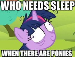 Size: 500x378 | Tagged: safe, derpibooru import, edit, edited screencap, screencap, twilight sparkle, lesson zero, bags under eyes, derp, image macro, insomnia, meme, sleep deprivation, solo, twilight snapple, who needs sleep anyway