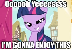 Size: 960x660 | Tagged: safe, derpibooru import, screencap, twilight sparkle, caption, faic