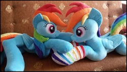 Size: 1155x655 | Tagged: safe, artist:rosamariposacrafts, derpibooru import, rainbow dash, pony, clothes, irl, photo, plushie, prone, rainbow socks, self ponidox, socks, striped socks