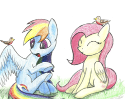 Size: 1024x817 | Tagged: safe, artist:coloringrainclouds, derpibooru import, fluttershy, rainbow dash, bird, pegasus, pony, duo, eyes closed, simple background, sitting, smiling, traditional art, white background