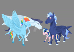 Size: 1600x1131 | Tagged: safe, artist:amaya-chans2, derpibooru import, rainbow dash, soarin', oc, oc:dragonfly, oc:north star, pegasus, pony, family, female, gray background, male, offspring, parent:rainbow dash, parent:soarin', parents:soarindash, shipping, simple background, soarindash, straight