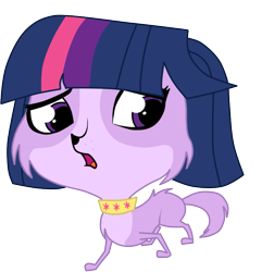 Size: 711x739 | Tagged: safe, artist:sakaki709, derpibooru import, twilight sparkle, littlest pet shop, species swap, twilight barkle, zoe trent