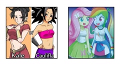 Size: 1256x664 | Tagged: safe, artist:the-butch-x, derpibooru import, fluttershy, rainbow dash, equestria girls, caulifla, comparison, dragon ball super, kale (dragon ball), saiyan