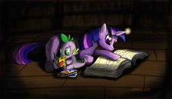 Size: 850x488 | Tagged: safe, artist:netraptor, derpibooru import, spike, twilight sparkle, dragon, reading