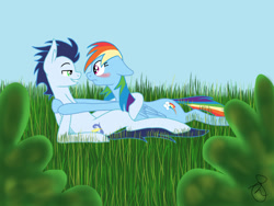 Size: 1024x768 | Tagged: safe, artist:ilaria122, derpibooru import, rainbow dash, soarin', pegasus, pony, backwards cutie mark, blushing, grass, male, shipping, soarindash, straight