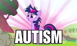 Size: 500x302 | Tagged: safe, derpibooru import, screencap, twilight sparkle, autism, autistic twilight, caption, image macro, twilight snapple