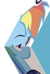 Size: 741x1079 | Tagged: safe, derpibooru import, rainbow dash, pegasus, pony, cropped, faic, merchandise, needs more jpeg, solo, wat