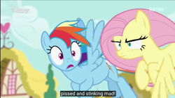 Size: 1709x964 | Tagged: safe, derpibooru import, screencap, fluttershy, rainbow dash, pegasus, pony, flutter brutter, disney channel, dubbing, flutterpeeved, german, meme, peeved, swearyshy, vulgar, youtube caption