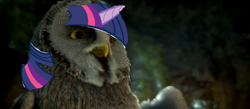 Size: 1000x434 | Tagged: safe, derpibooru import, twilight sparkle, owl, legend of the guardians, legend of the guardians: the owls of ga'hoole, over a million hours in photoshop, twilight sparkowl