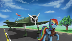 Size: 2560x1440 | Tagged: safe, artist:ailynd, derpibooru import, rainbow dash, pegasus, pony, bomber jacket, cloud, female, flag, grin, mare, pilot dash, plane, pole, raised hoof, sky, smiling, solo, tree