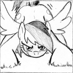 Size: 340x341 | Tagged: safe, artist:dj-black-n-white, derpibooru import, rainbow dash, pegasus, pony, comic:tsundere rainbow dash, cropped, face down ass up, female, grayscale, mare, monochrome, solo, spread wings, traditional art, wings