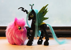 Size: 792x555 | Tagged: safe, artist:stephanieezzo, queen chrysalis, oc, oc:fluffle puff, changeling, changeling queen, brushable, canon x oc, custom, cute, cutealis, female, flufflebetes, irl, lesbian, photo, raised hoof, shipping, toy