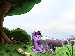 Size: 2720x2040 | Tagged: safe, artist:poecillia-gracilis19, spike, starlight glimmer, twilight sparkle, twilight sparkle (alicorn), alicorn, dragon, pony, book, female, mare, outdoors, relaxing