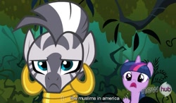 Size: 787x461 | Tagged: safe, derpibooru import, screencap, twilight sparkle, zecora, zebra, magic duel, everfree forest, hub logo, hubble, islam, the hub, united states, youtube caption