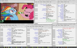 Size: 1440x900 | Tagged: safe, derpibooru import, pinkie pie, rainbow dash, earth pony, pegasus, pony, bats!, chat, reaction, text