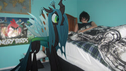 Size: 4000x2248 | Tagged: safe, artist:metalgriffen69, queen chrysalis, human, bed, brony, irl, irl human, photo, ponies in real life