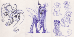 Size: 1181x602 | Tagged: safe, artist:taritoons, apple bloom, fluttershy, queen chrysalis, rarity, oc, oc:buttercheese, oc:fairy bread, changeling, changeling queen, classical unicorn, pegasus, pony, unicorn, leonine tail, sketch, traditional art