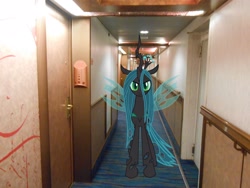 Size: 2272x1704 | Tagged: safe, artist:oceanrailroader, artist:zantyarz, queen chrysalis, changeling, changeling queen, carpet, cruise ship, doors, hallway, irl, looking at you, photo, ponies in real life, vector