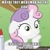 Size: 500x500 | Tagged: safe, starlight glimmer, sweetie belle, goat, pony, unicorn, them's fightin' herds, the cutie re-mark, community related, exploitable meme, female, filly, horn, image macro, meme, obligatory pony, solo, sudden clarity sweetie belle, text, two toned mane, white coat, wide eyes