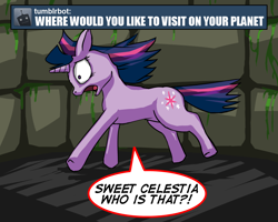 Size: 1000x800 | Tagged: safe, derpibooru import, twilight sparkle, ask, ask imprisoned twilight sparkle, tumblr