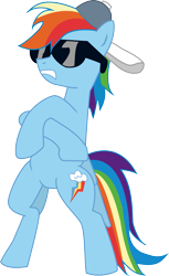 Size: 1465x2399 | Tagged: safe, artist:quadren4, derpibooru import, rainbow dash, pegasus, pony, may the best pet win, baseball cap, cap, female, hat, mare, simple background, solo, sunglasses, transparent background, vector, vector trace