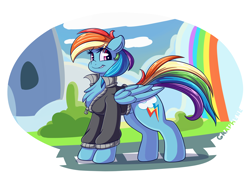 Size: 4088x2956 | Tagged: safe, artist:graphene, rainbow dash, pegasus, pony, absurd resolution, chest fluff, clothes, female, jacket, looking back, mare, rainbow waterfall, smiling, solo